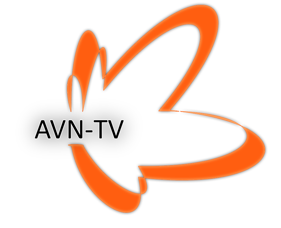 AVN-TV