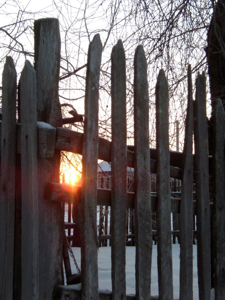 Солнце в заборе