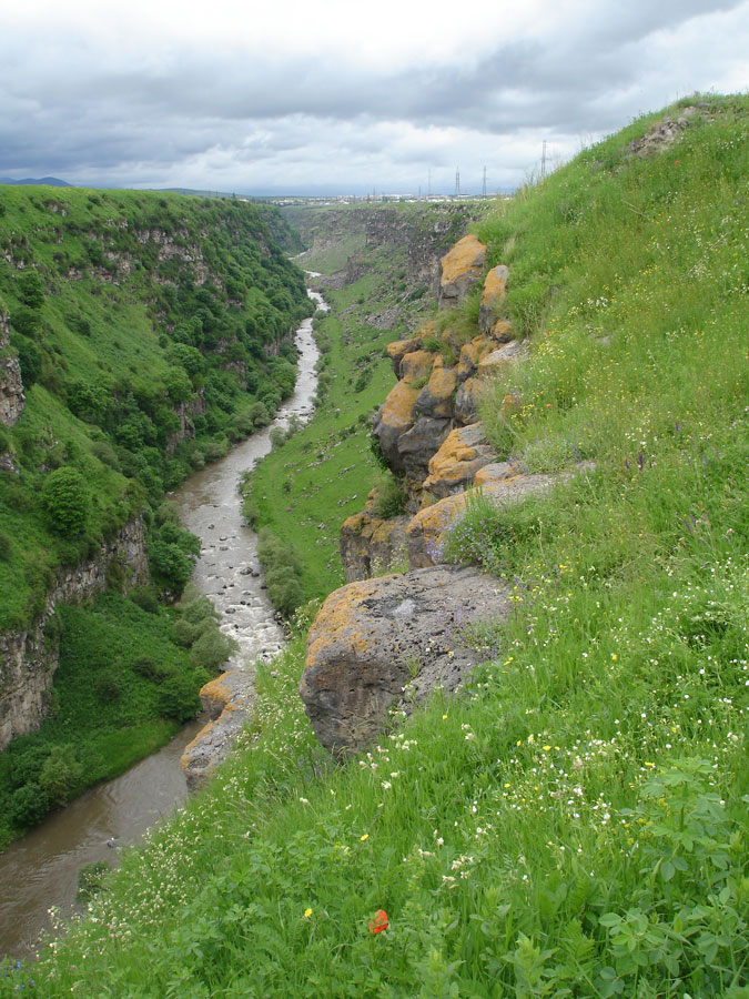 Армения