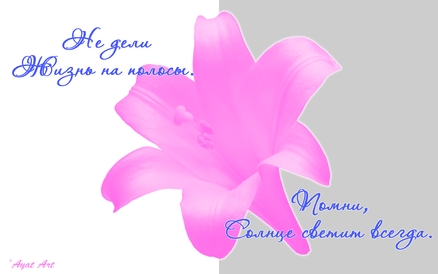 Лилия