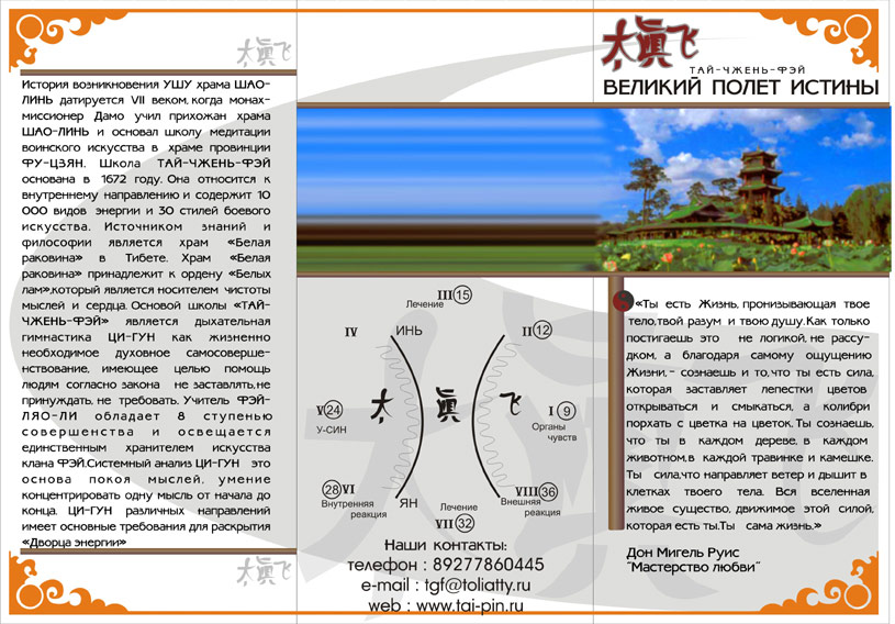 буклет по китайской медецине