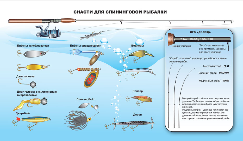 таблица инфографики 4а