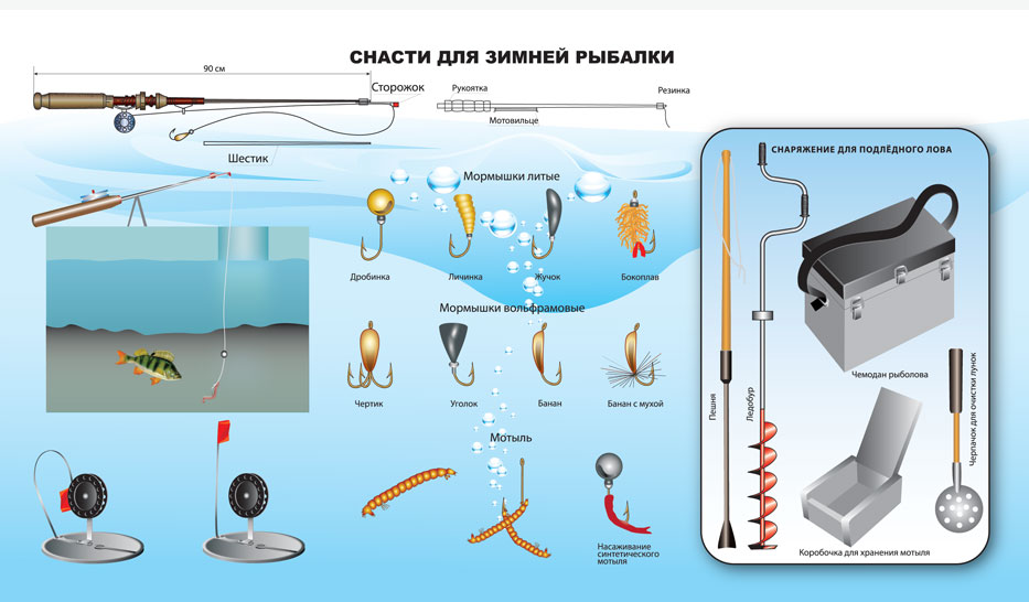 таблица инфографики_5