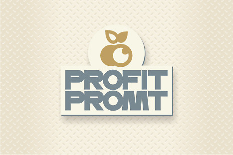 Логотип компании &quot;Profit Promt&quot; (4)