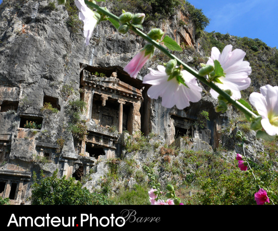 Blossoming Fethiye