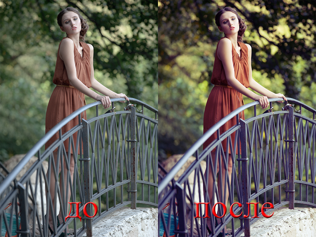 Портфолио