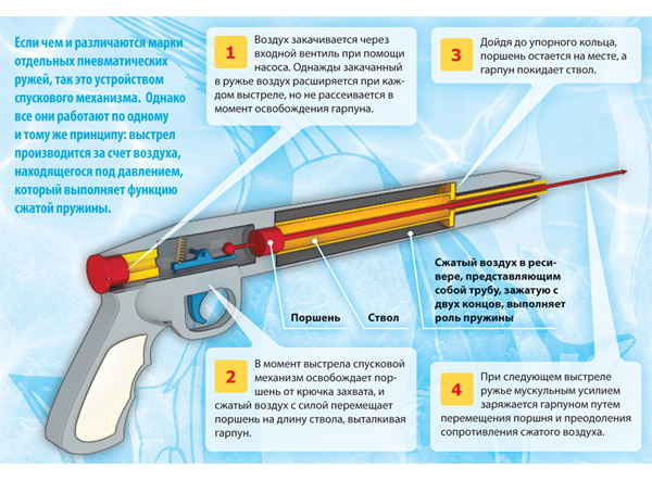 Инфографика «Подводное ружье»