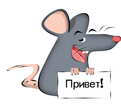мышь