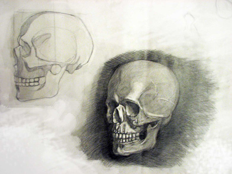 skull