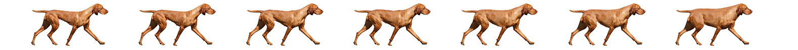 серия изображений собак для теста pedigree.ru