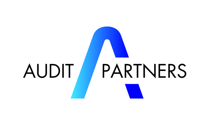 Audit Partners v1