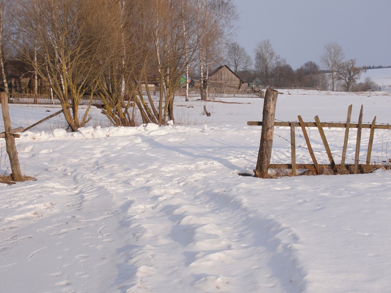 январьская пастораль