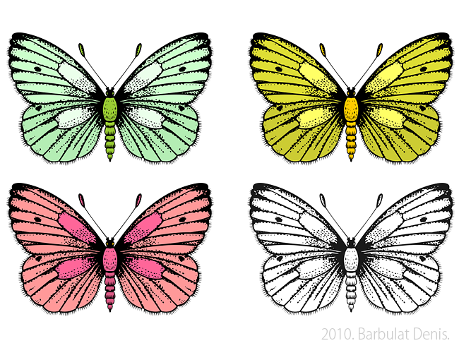 Бабочка (в разных цветовых решениях)