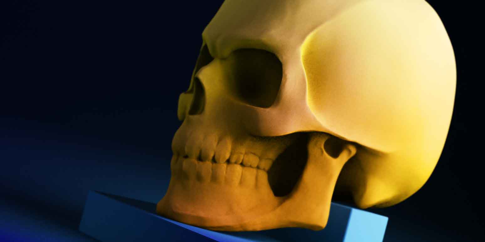 Skull