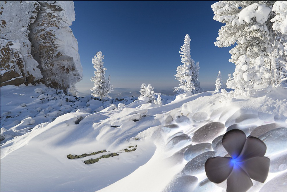 snow