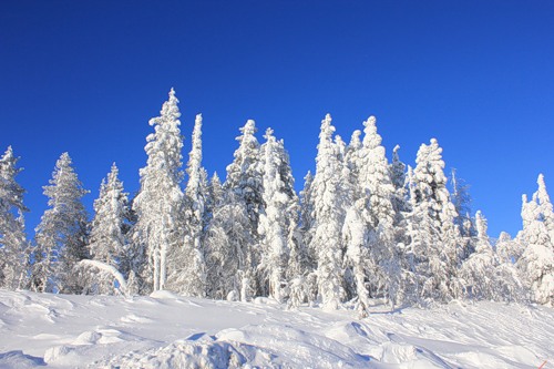 пейзаж