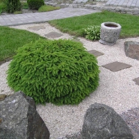 Японский сад.
