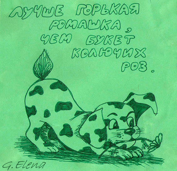собачка