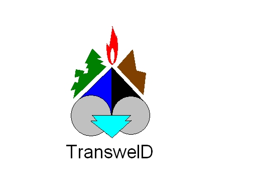 transweld