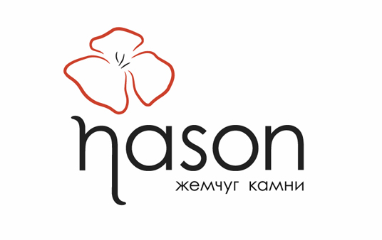 Логотип Nason