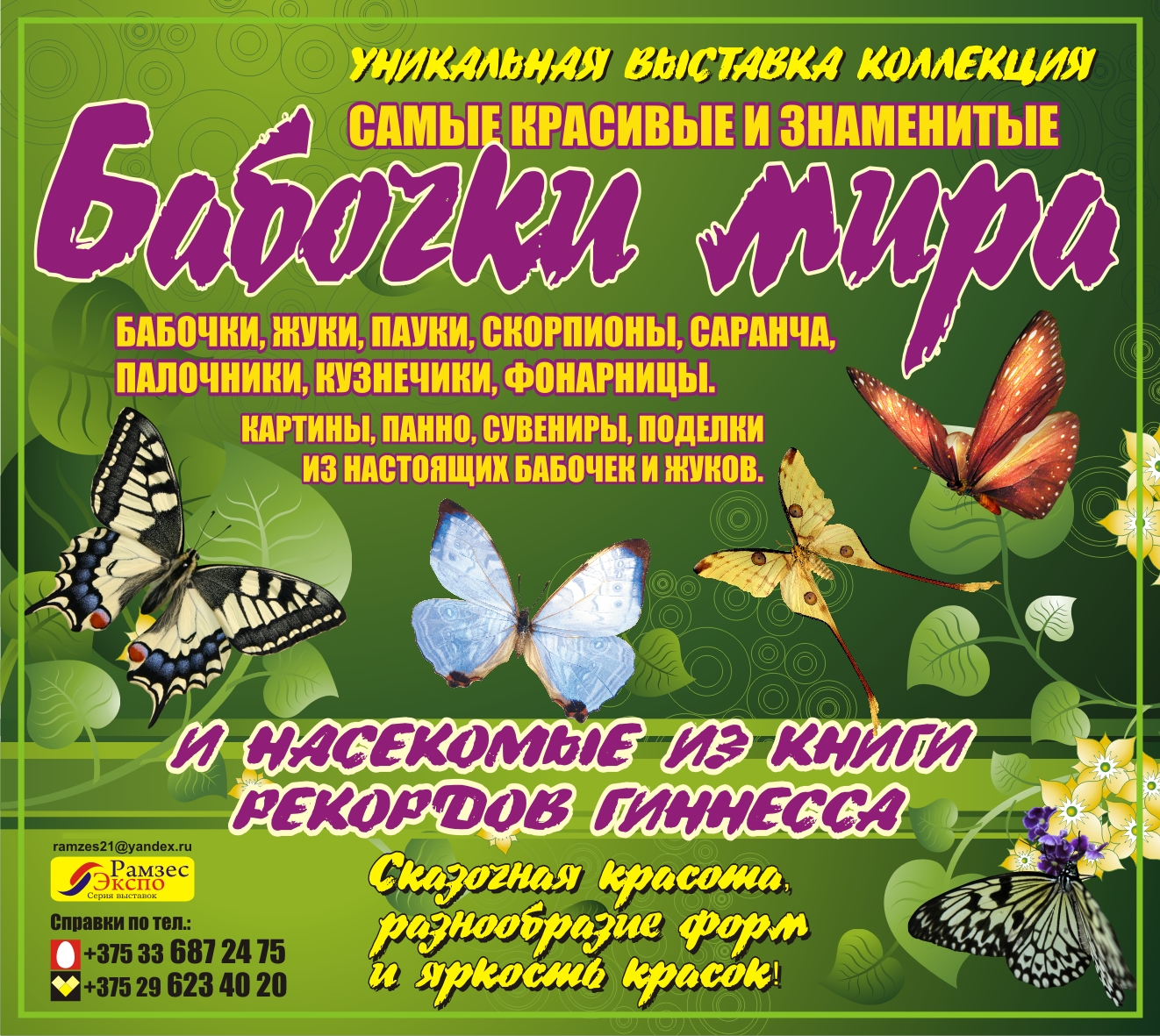 Баннер Выставка бабочек 1