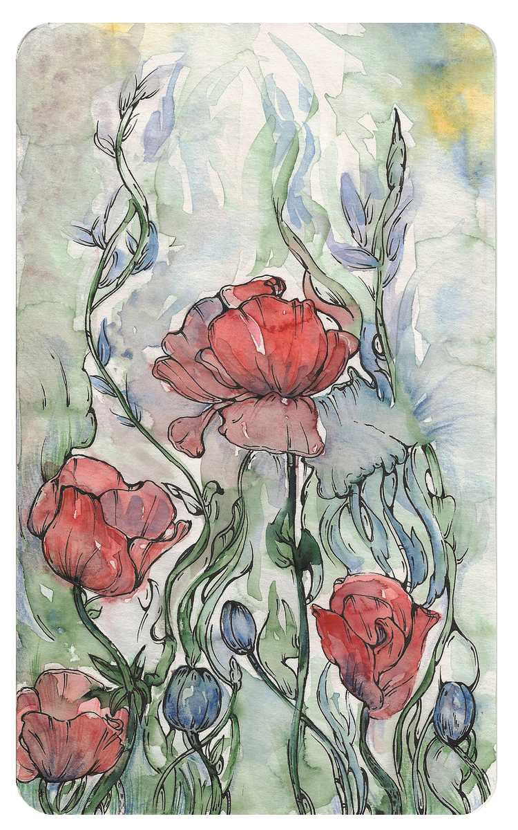 poppy