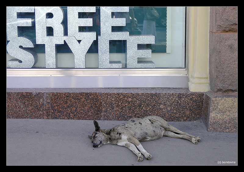 Free Style