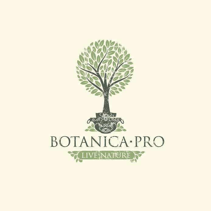 Botanica