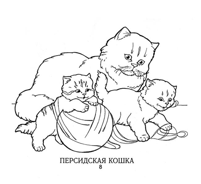 Раскраска &quot;Кошки&quot;