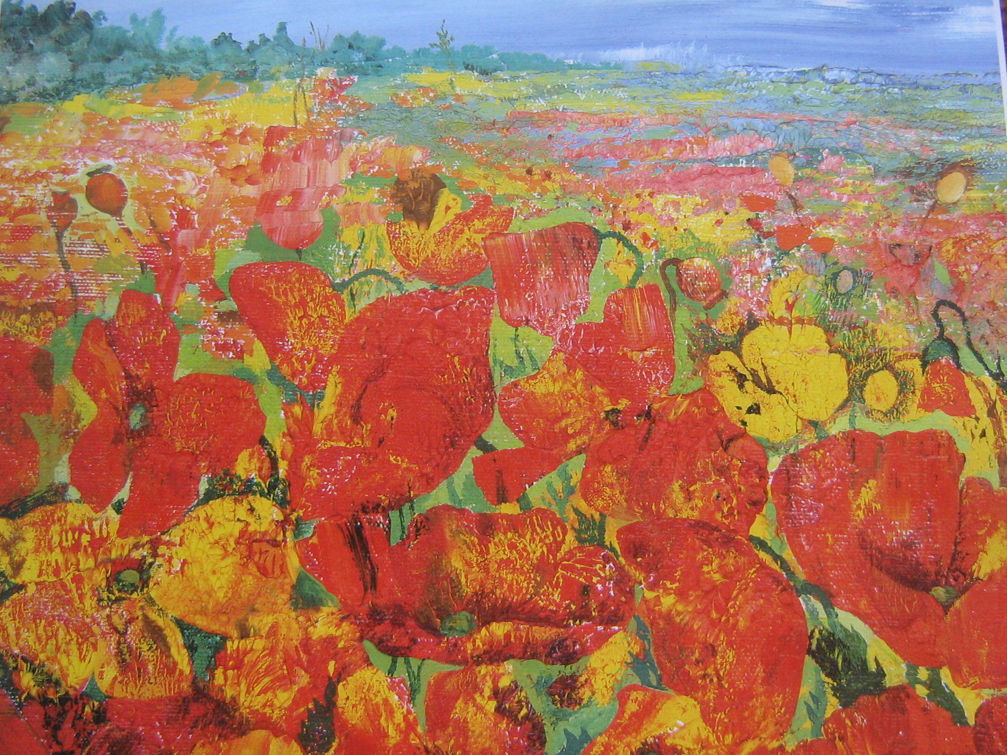 Маки. 2007г.