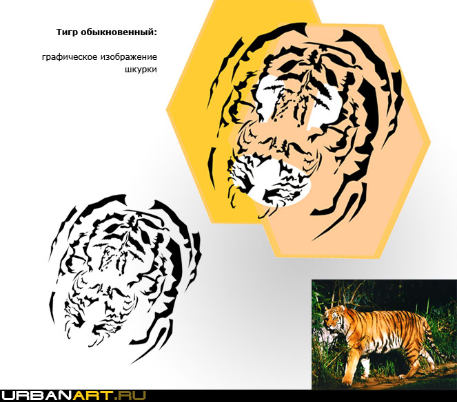 Дизайн графики ввиде тигриной шкуры