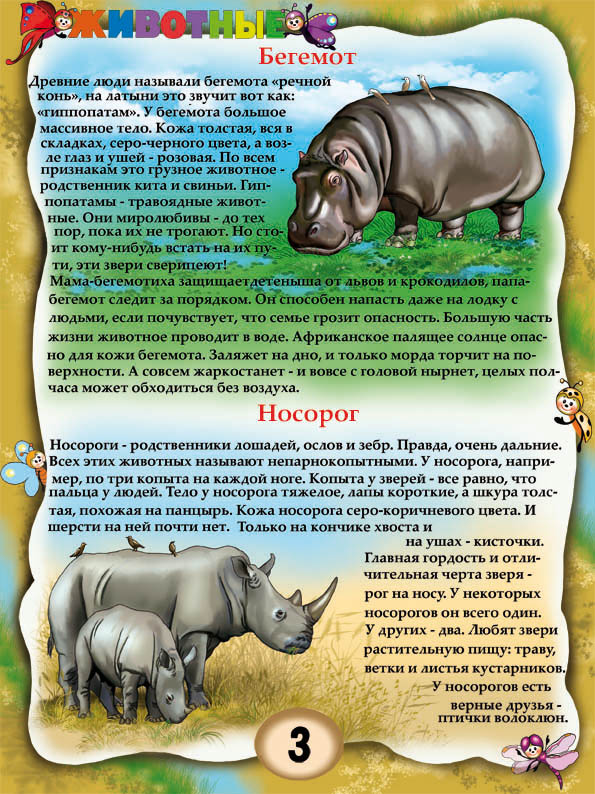 бегемот и носорог