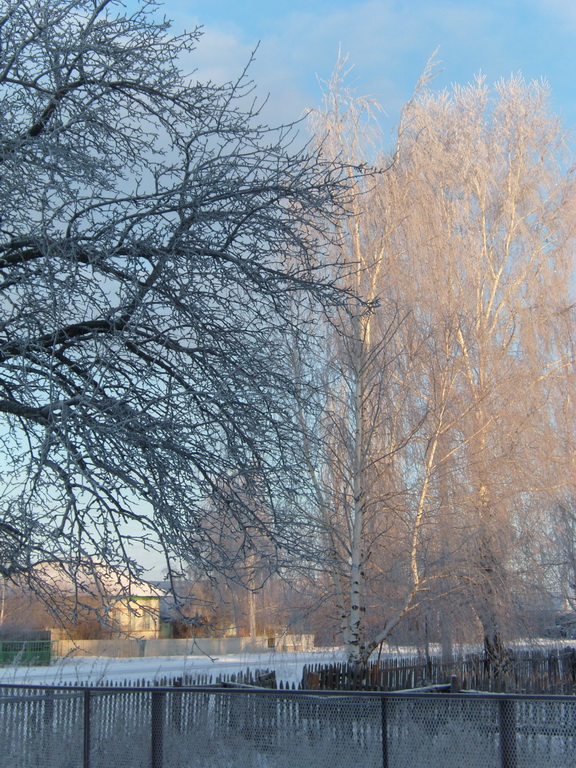 Свет и тень