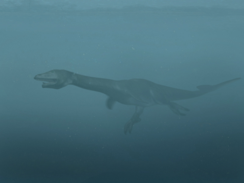 lochness