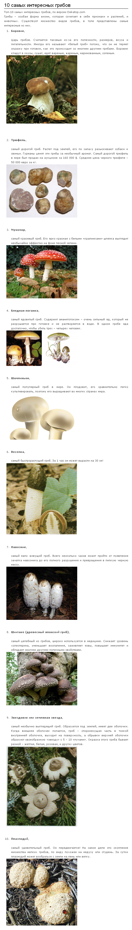 10 самых интересных грибов