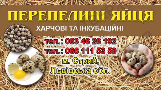 Визитка
