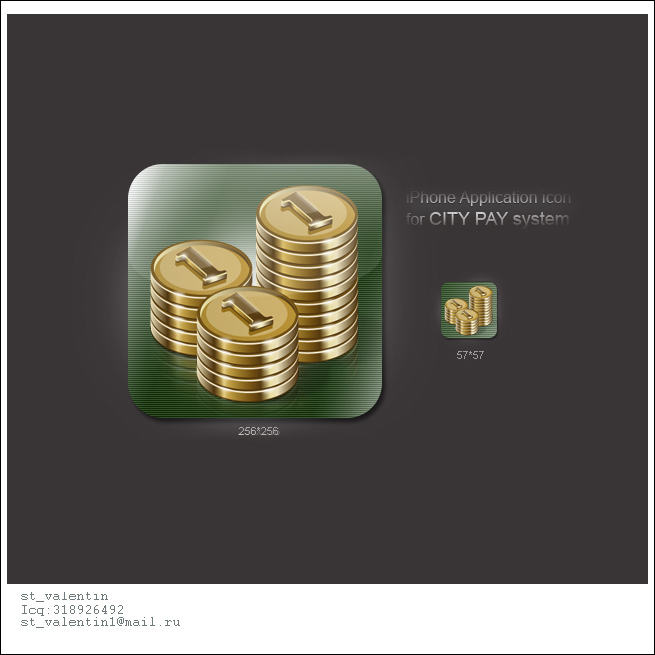 iPhone Application icon for CITY PAY sys