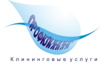 Профклининг