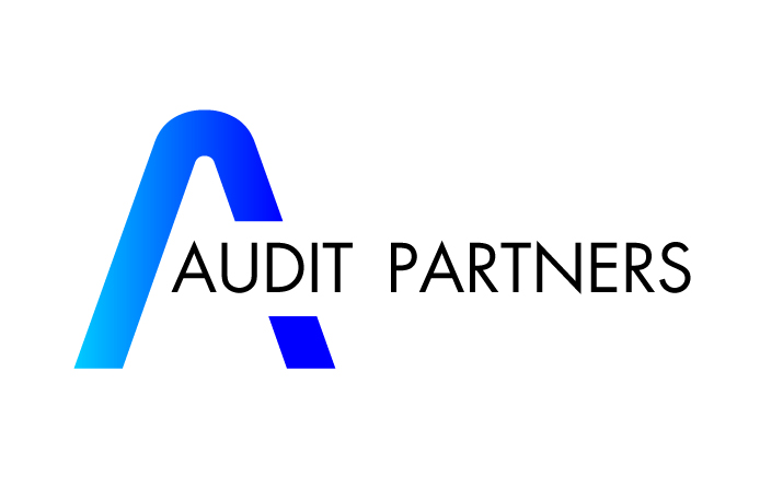 Audit Partners v2