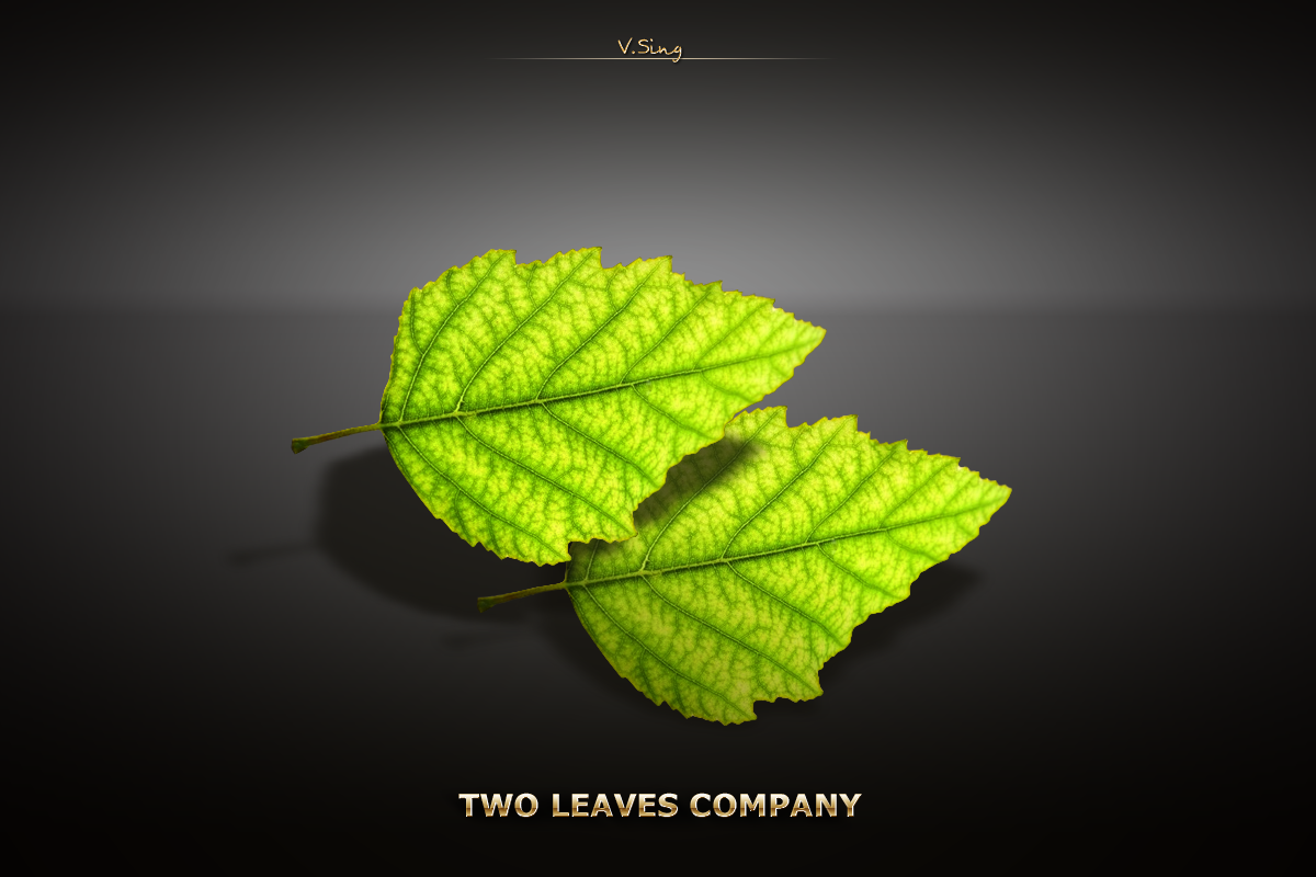 Разработка элемента фирменного стиля для компании "Two Leaves&quo
