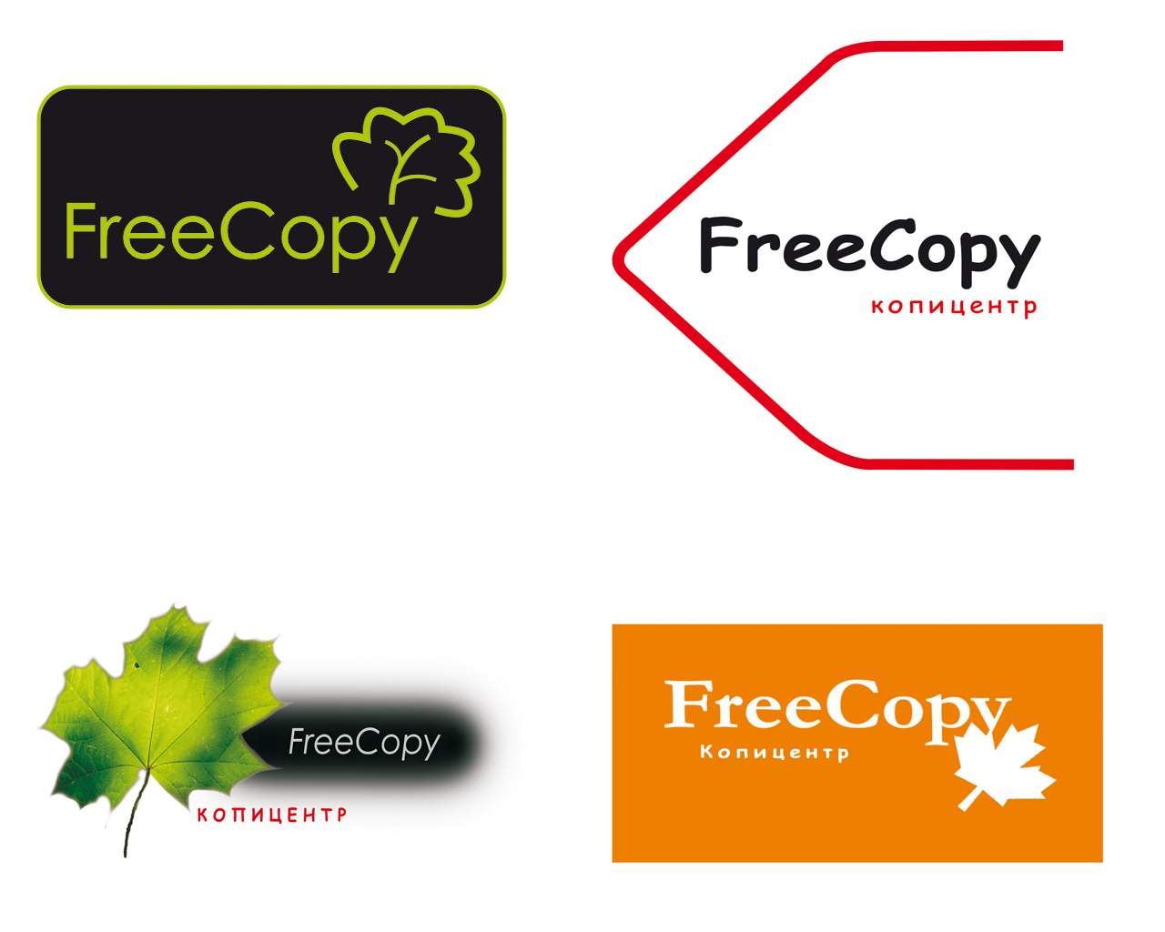 Варианты логотипа FreeCopy