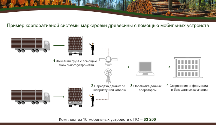 Презентация лесной сертификации