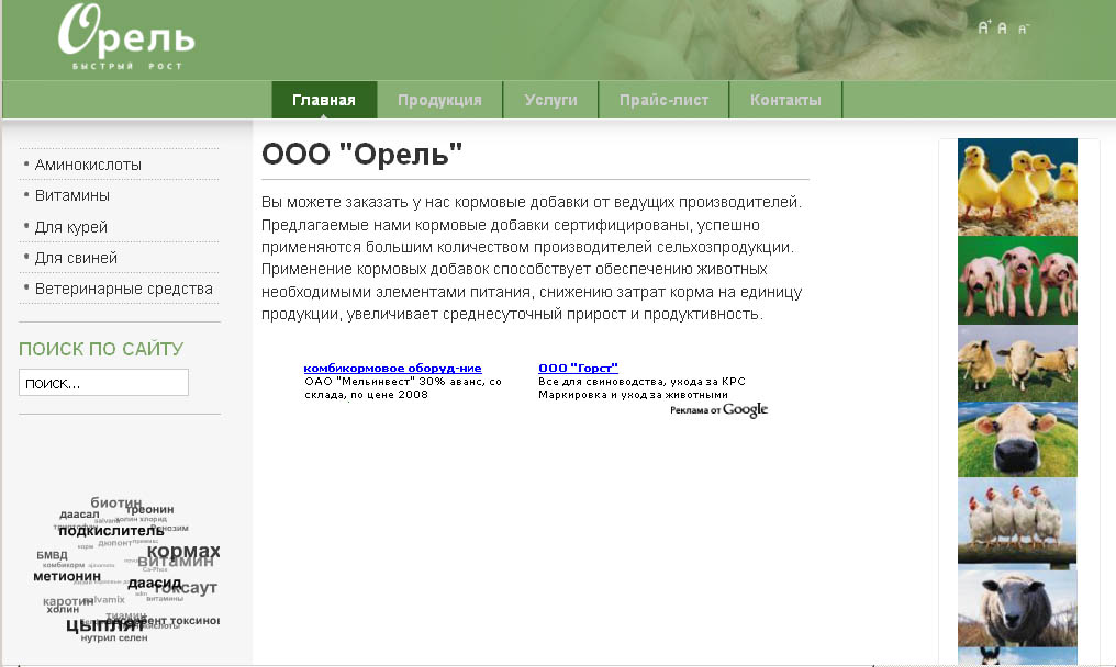 Сайт для ООО &quot;Орель&quot;