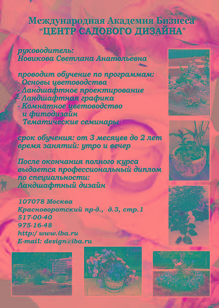 листовка