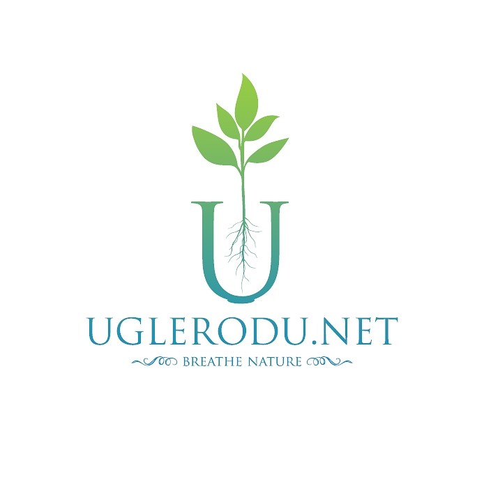 Uglerodu.net