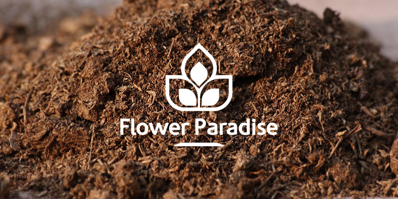 Flower Paradise