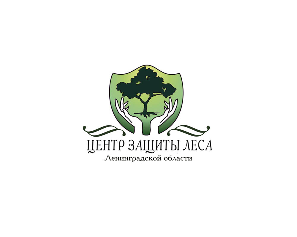 Центр защиты леса