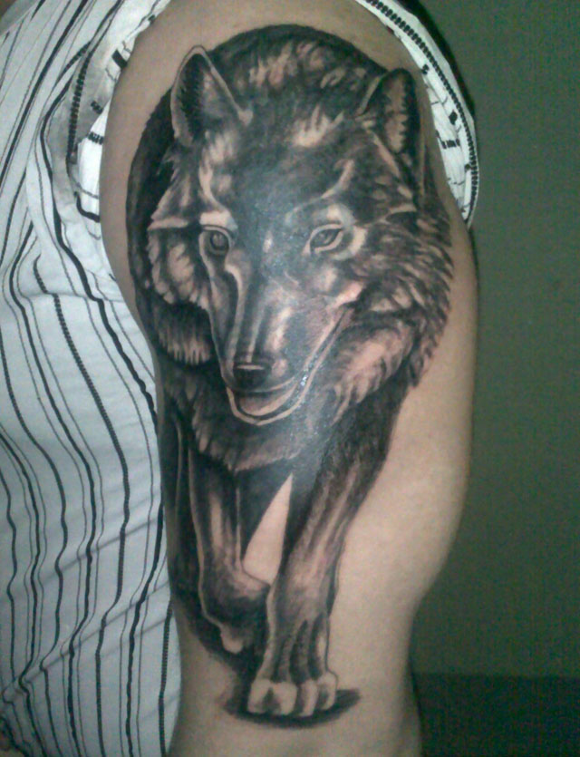 Wolf