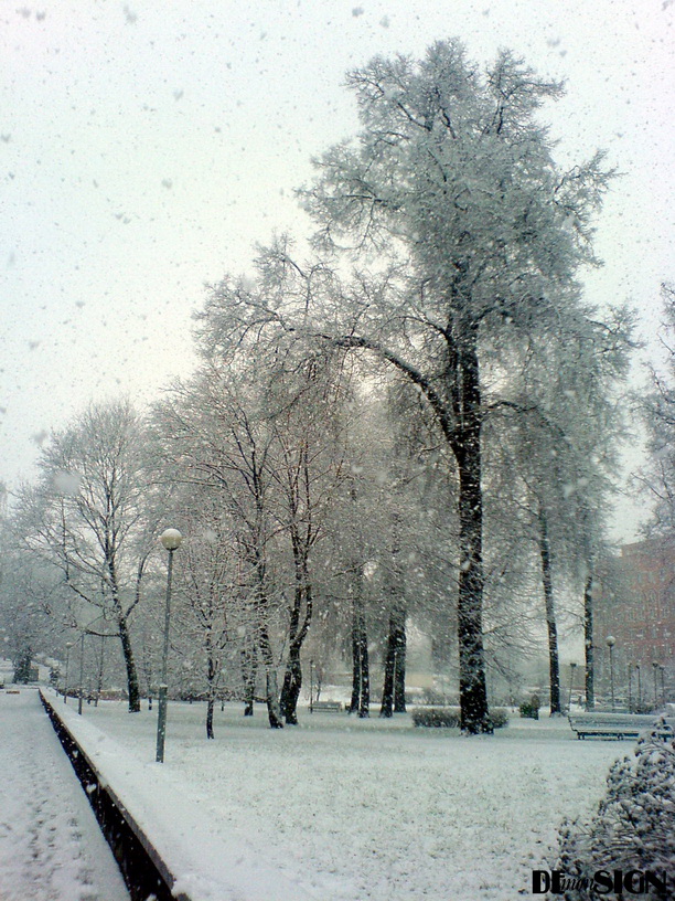 первый снег
