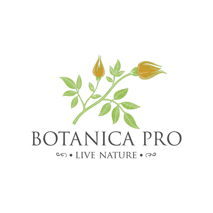 Botanica